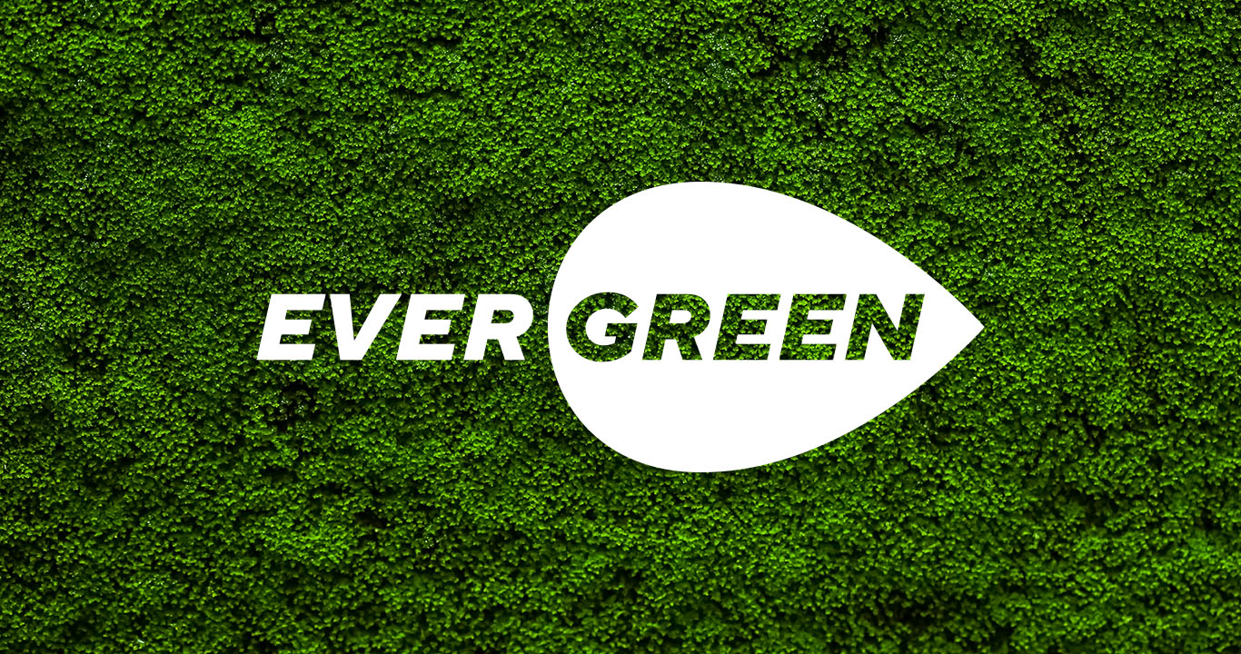 Brand design for Ever Green